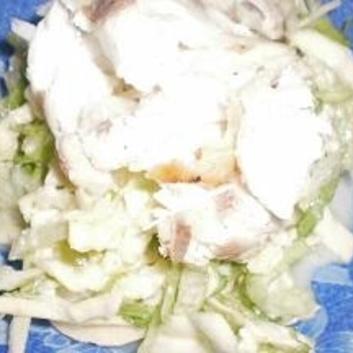 塩焼き鯛とコールスローサラダ